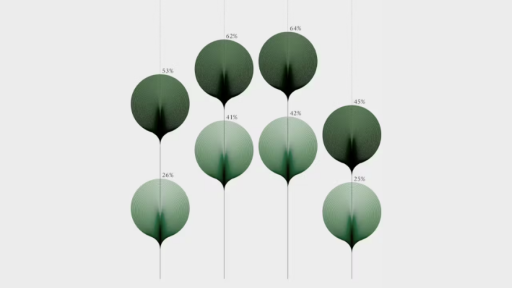 Shapes of Inequalities by Federica Fragapane Shapes of Inequalities by Federica Fragapane